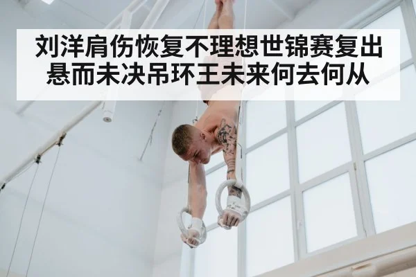 刘洋肩伤恢复不理想世锦赛复出悬而未决吊环王未来何去何从