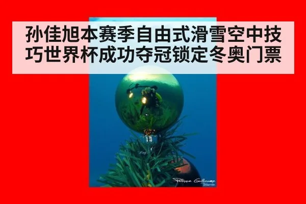 孙佳旭本赛季自由式滑雪空中技巧世界杯成功夺冠锁定冬奥门票