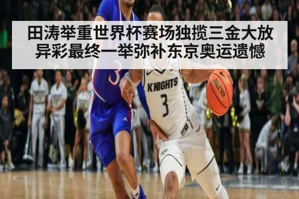 田涛举重世界杯赛场独揽三金大放异彩最终一举弥补东京奥运遗憾